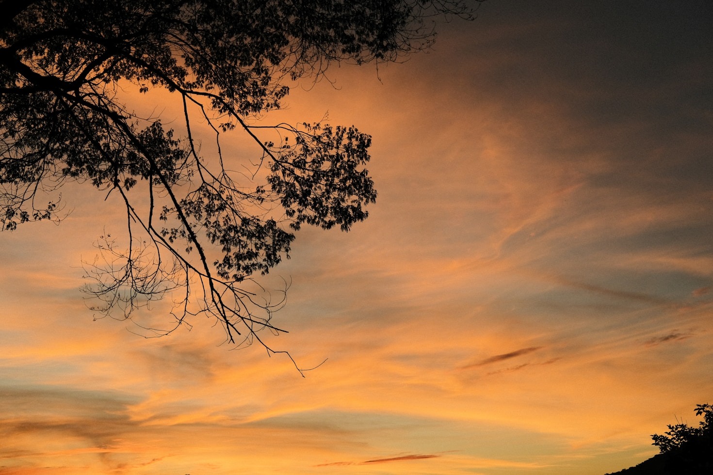Hur du känner igen narcissistiskt missbruk