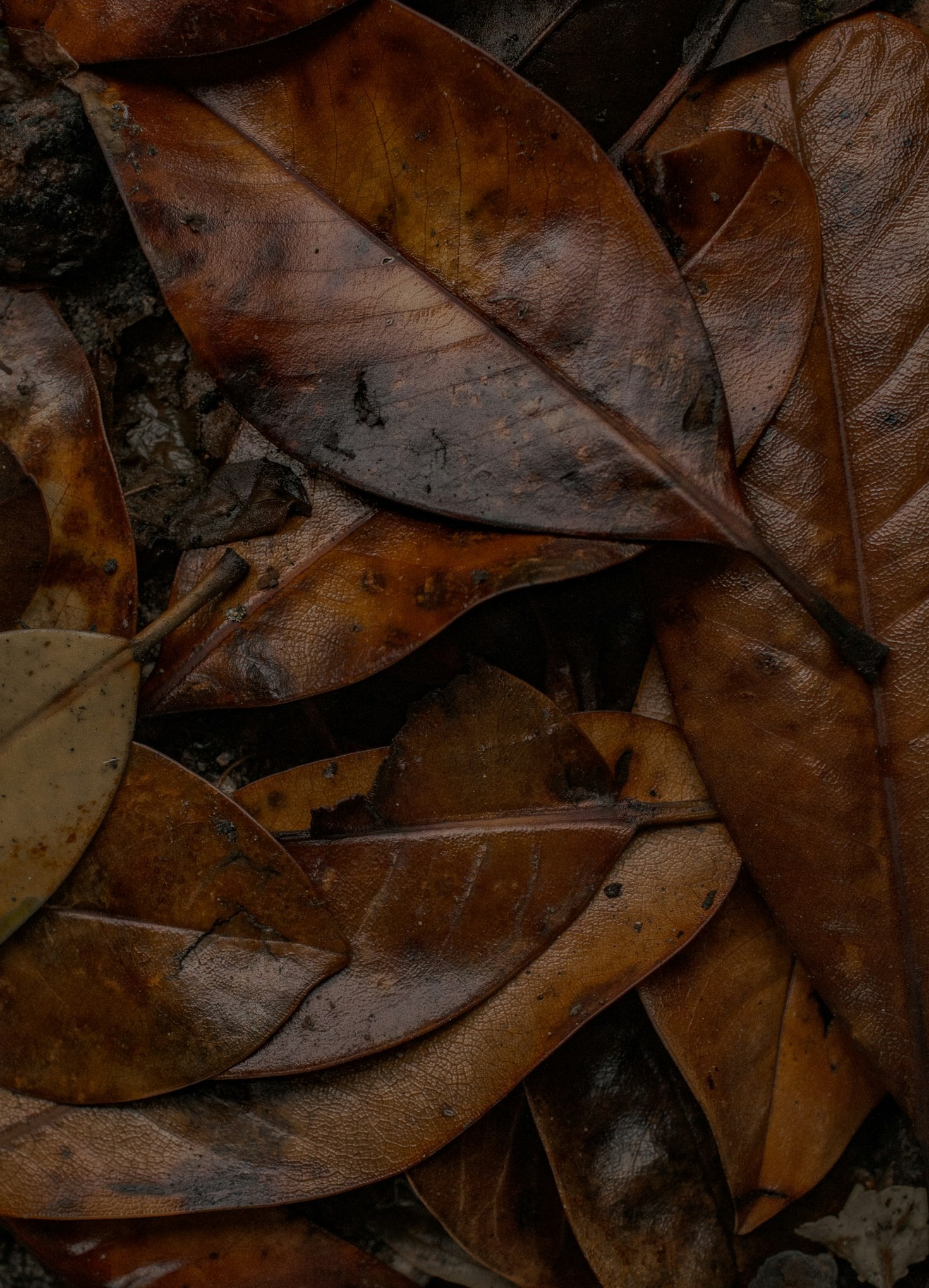 Resurser som hjälper dig att bygga ett nytt liv